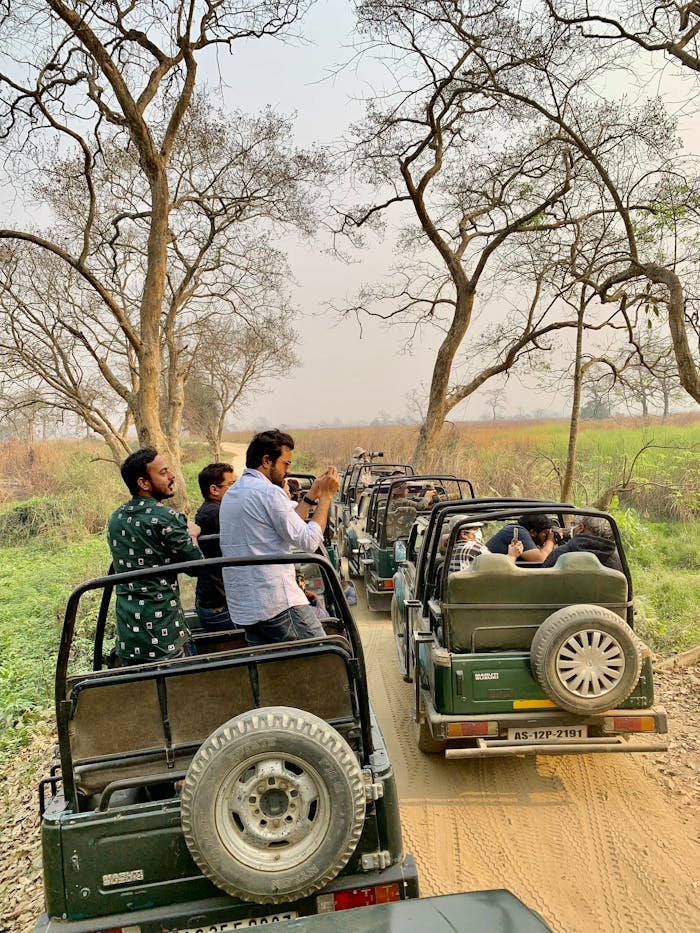 gallery-3 Tourists enjoy a thrilling jeep safari through the scenic landscapes of Kanchanjuri, India.
