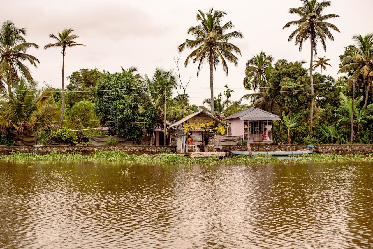 ours-journey View of traditional houses along Kerala's serene backwaters surrounded by palm trees.