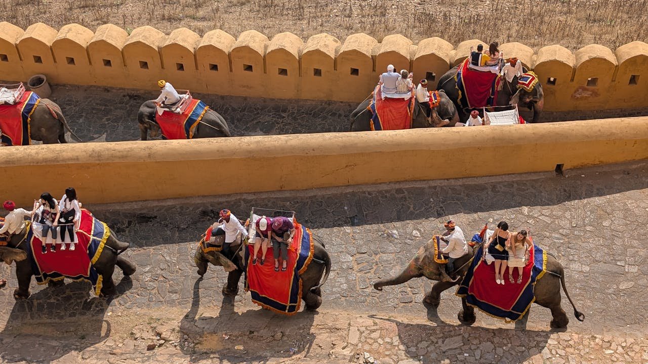services-02 Tourists enjoying elephant rides along a historical fort wall in India, capturing cultural tradition.