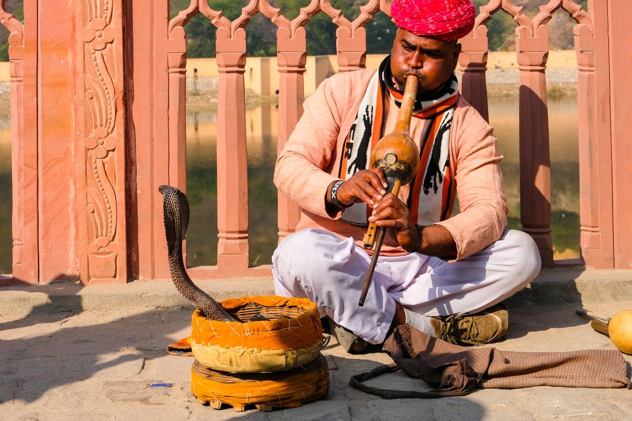 about-01 A snake charmer plays the pungi for a cobra, showcasing Rajasthan's cultural heritage.